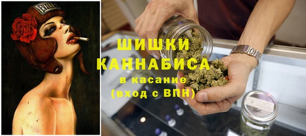 МДМА Заводоуковск
